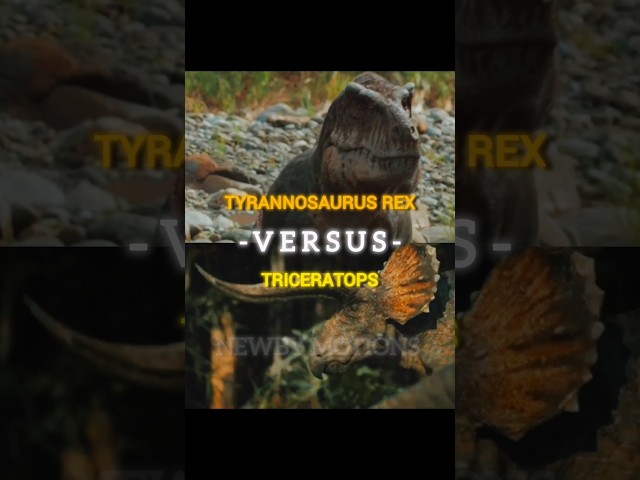 Tyrannosaurus. rex vs Triceratops | edit