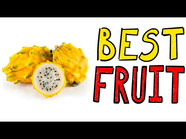 Yellow Dragon Fruit is the Best Fruit, and it's not even close