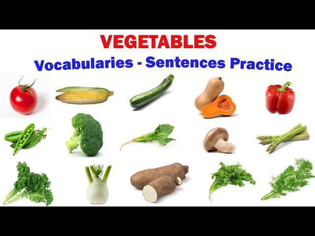 VEGETABLES | Vocabularies and Sentences Practice