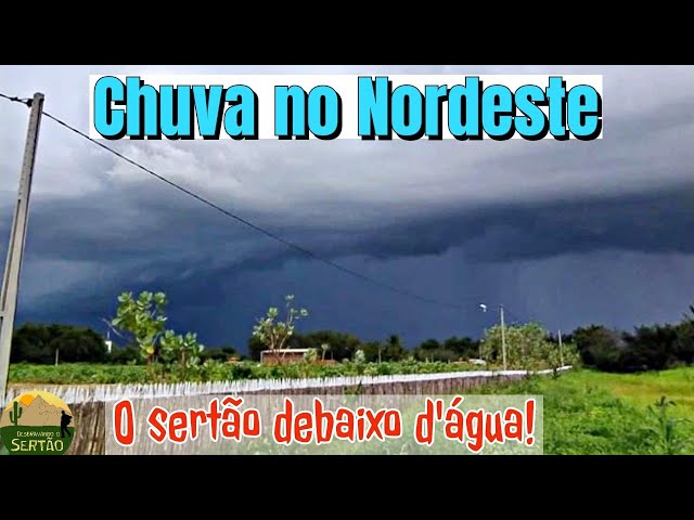 Chuva no Nordeste: O Sertão, agora está sendo agraciado com muita água Ep174