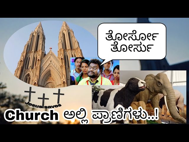 St.Philomena's ಅಲ್ಲಿ ಏನ್ ಇದೆ...! || Animals in Church,,,😅|| St.philomena's church, Mysore.