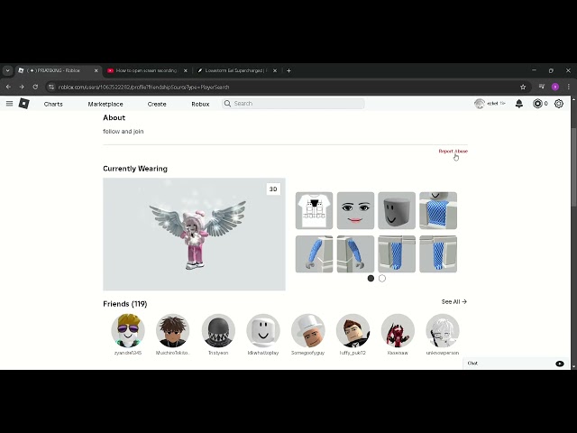 ✦  PRIATEKING   Roblox   Google Chrome 2025 02 09 16 11 26