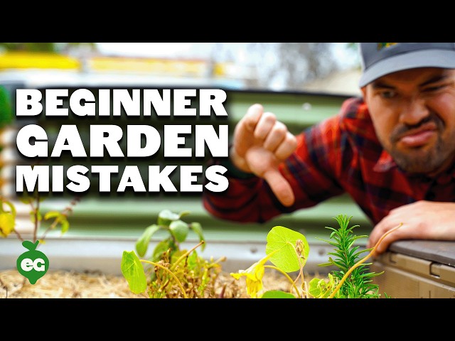 9 Beginner Gardening Mistakes to Avoid 😱 ❌