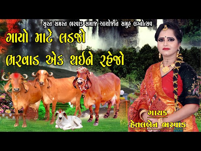 ગાયો માટે લડજો ભરવાડ એક થઈને રહેજો ||હેતલ ભરવાડ સુરત સમુહ લગન || Hetalben Bharwad