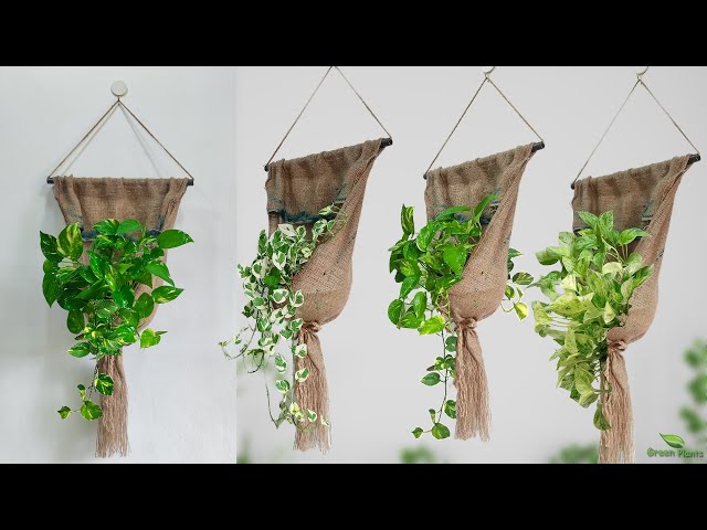 DIY Wall Hanging Planter Ideas for Your Indoor Plants | Display Indoor Hanging Plants//GREEN PLANTS