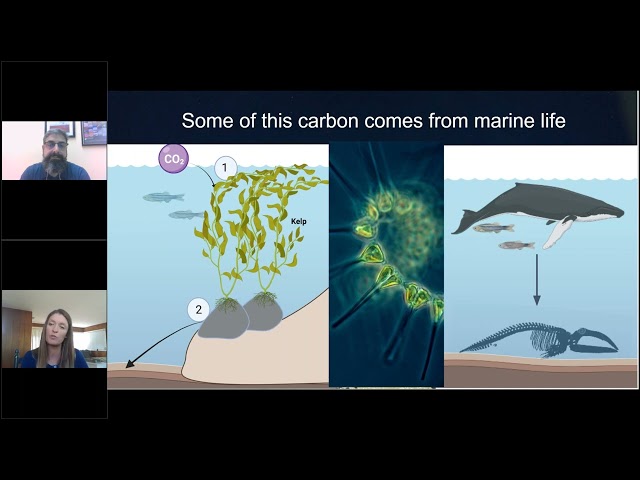 Mud matters: Understanding the role of ocean sediments in storing carbon