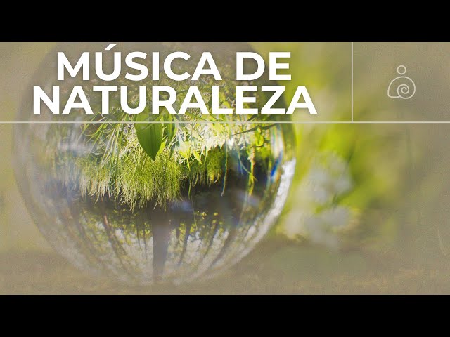 La música cura el corazón🌿 La música calmante restaura el sistema nervioso