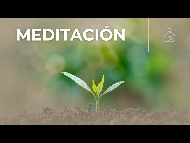 🌿Música de Meditación🌿La música suave calma el sistema nervioso🌿