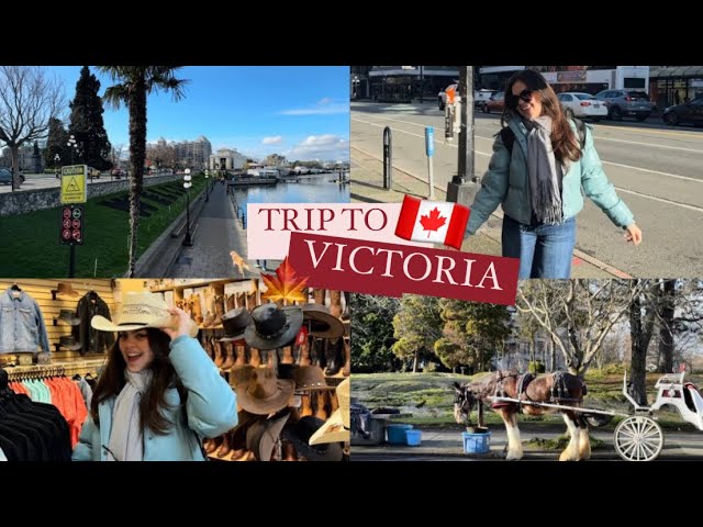 Um dia comigo, conhecendo Victoria no 🇨🇦| Lana Godoi