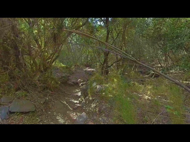 Cerro la campana VR