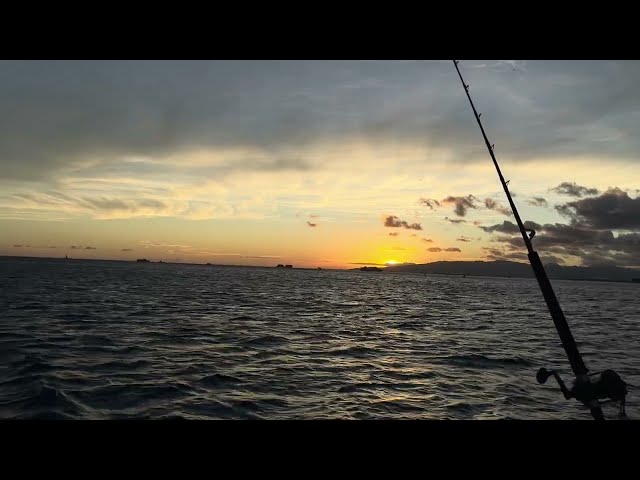 Sunset Sailboat in Waikiki, Hawaii - 떠나가는 배