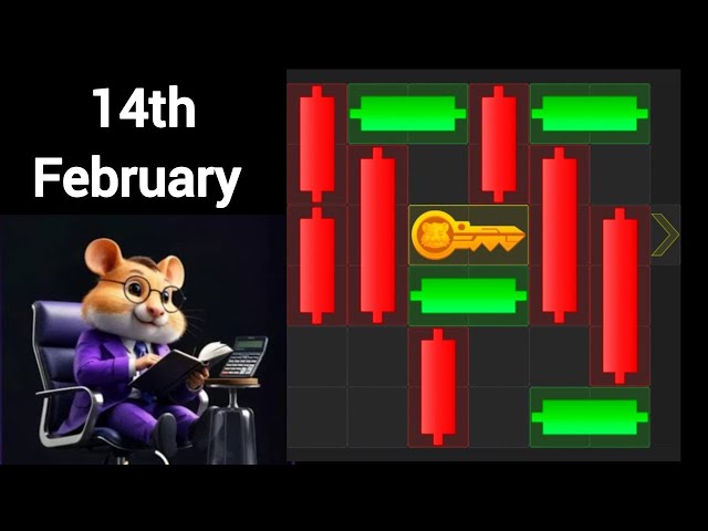 14th February 2025 🔴Live Hamster Kombat Daily Mini-Game Puzzle Solved 100% #hamstercombat #minigame