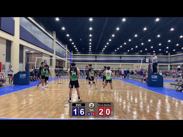 Venom Mambas Vs SVC - Buffalo Tune-Up 2024