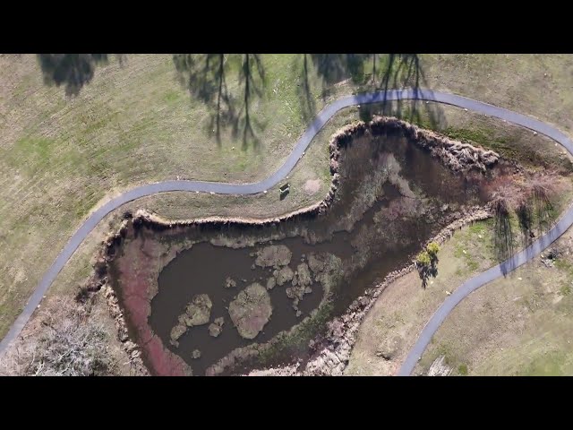 Swamp or Wetlands Flight | Single Lonely Bench | Wetlands Park | Mini 4 Pro 4k 60fps