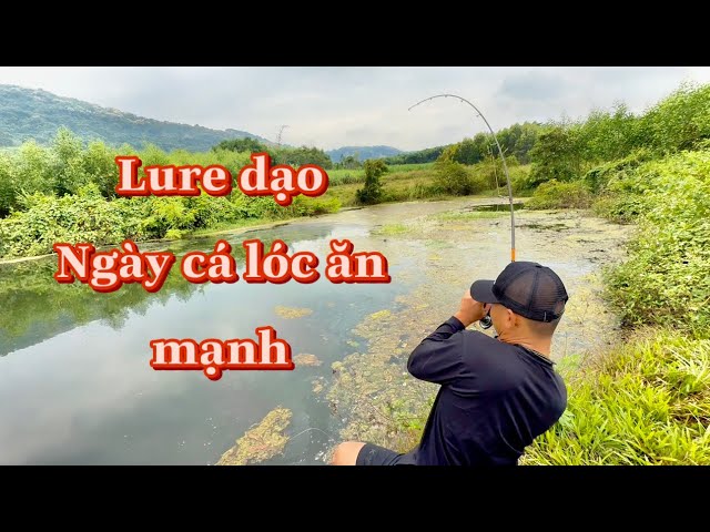 Cách Vào Dù Câu Lure - Đi Lure Dạo Ngày Giao Mùa