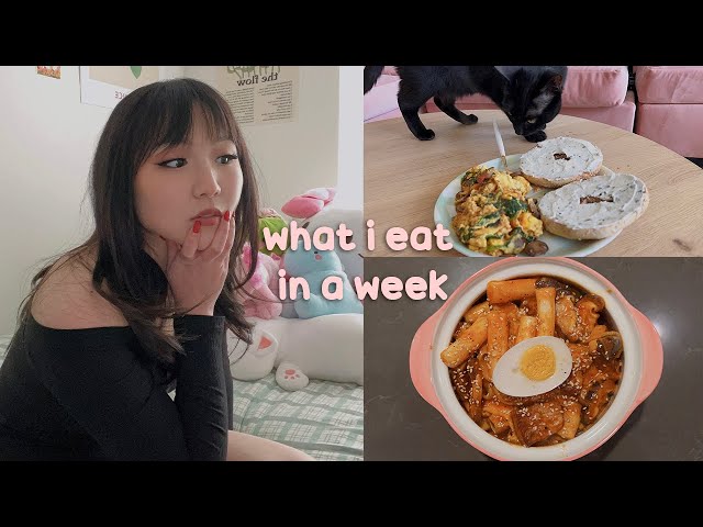 what i cook + eat in a week 🍜