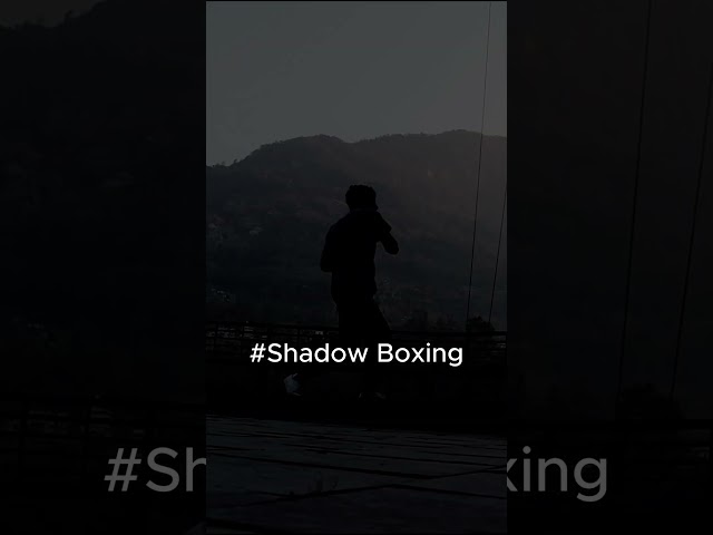 Shadow Boxing #boxingworkout #shadowboxing #training