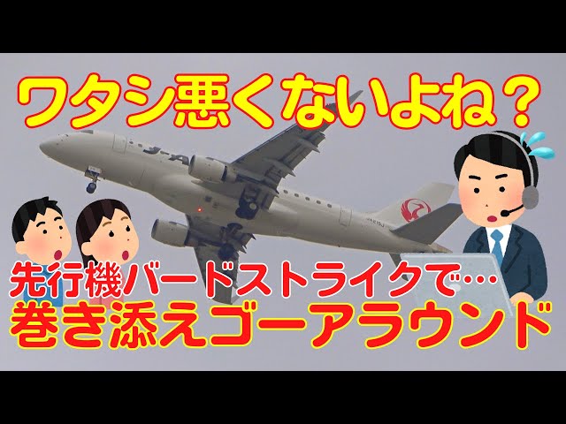 【大阪伊丹空港】先行離陸機がバードストライク！ JAL2346便ゴーアラウンド