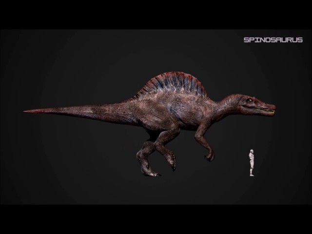 Spinosaurus Walk Cycle