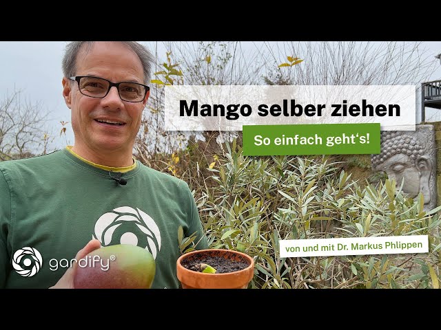 Grow your own mango 🥭 It's that easy! Tropical houseplant made from kitchen waste!🌱