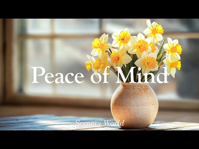 Sweet piano music that brings comfort and peace - Peace of Mind | Scenery World