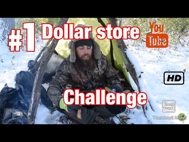 Day 2 Of The Dollar Store Challenge | 10 dollars 10 items