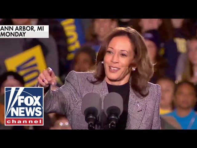 Kamala Harris' 'cringy' moment on the campaign trail: 'Ouch'