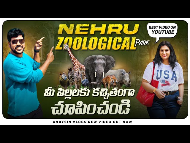 Nehru Zoological park Full  animal closeup videos #zoo #hyderabad #nehruzoologicalpark