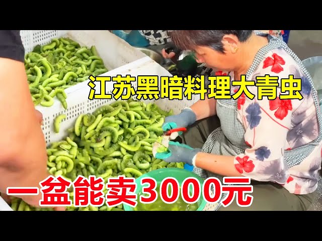 Jiangsu Lianyungang Dark Cuisine Big Green Worm  a pot can sell more than 3000  outsiders are scare