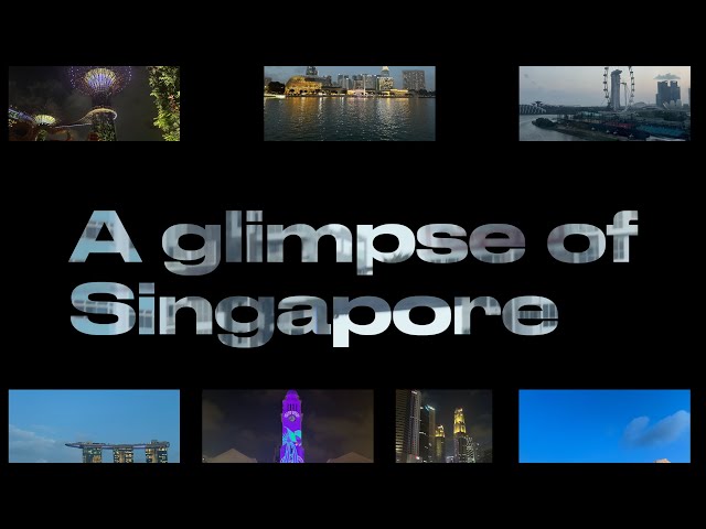 A glimpse of Singapore