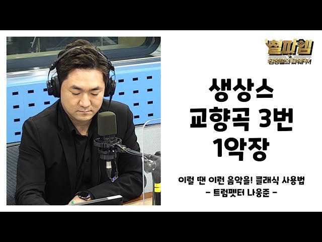 이럴 땐 이런 음악을! 클래식 사용법 / 생상스 교향곡 3번 1악장🎶 [360도]