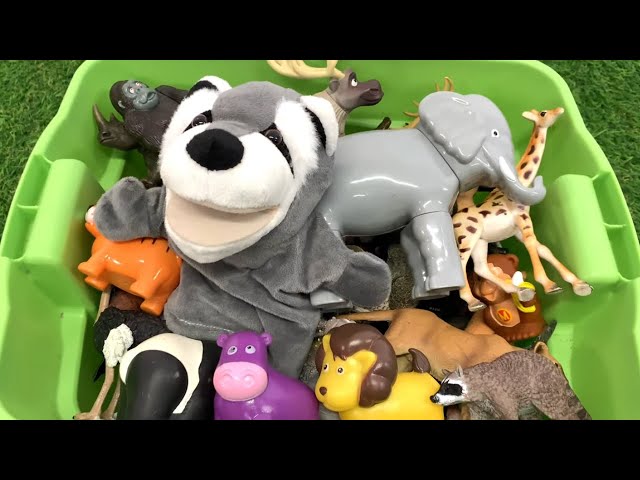 Wild Adventure! Zoo Animal Toys Galore!