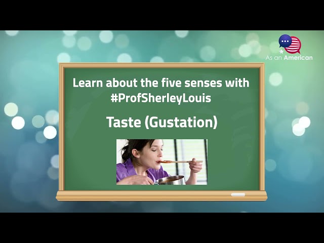 Learn about the five senses easily with Prof. Sherley Louis! 🧐