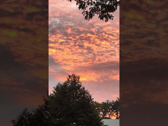 Sky is So Beautiful #peace #serenity #skyisbeautiful #beautyatnight #clouds #skyatdusk #beautiful