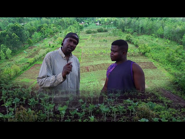 I Left America To Kenya & Now Own 20 Acres Organic Farm!