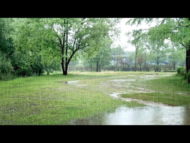 Relaxation with Rain Sounds - Comforting Rain Sounds ASMR for Peace of Mind, Anxiety relief