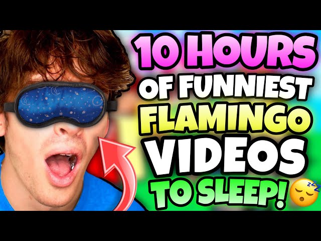 *10 HOURS* OF “FUNNIEST” FLAMINGO VIDEOS TO FALL ASLEEP! (ROBLOX/MARATHON)