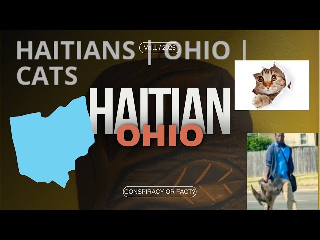 Unraveling the Rumors of Haitians and Cat Consumption in this Ohio City Tyler Oliveira Reaction