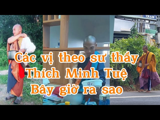 Các vị theo sư thầy Thích Minh Tuệ bây giờ ra sao khi không còn đi cùng với nhau nữa