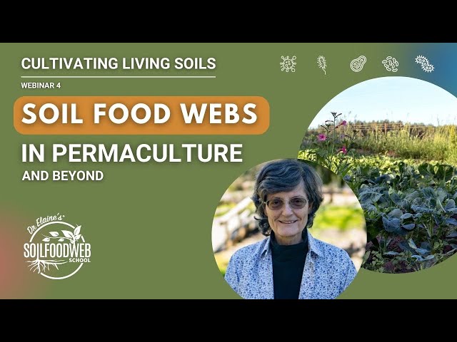 Cultivating Living Soils: Why Soil Matters and How toFurther Your Education in Soil Regeneration