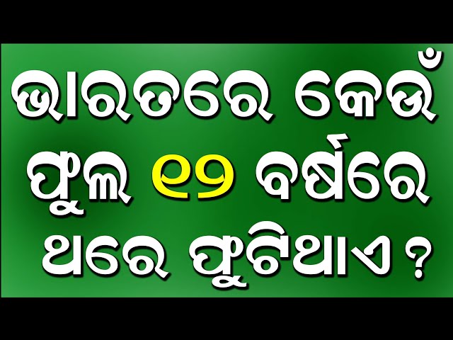 Which flower in India blooms once in 12 years? | Odia Gk |Odisha Education 360