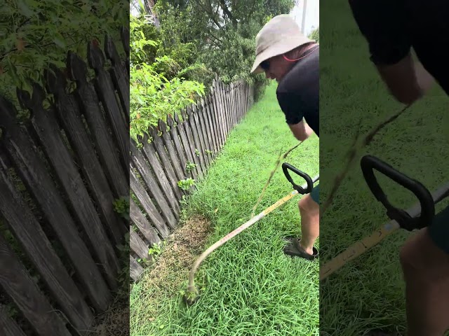 No, it's not a straight shaft! #linetrimmer #fence #edge #border #cuttinggrass #yardwork #shortsfeed