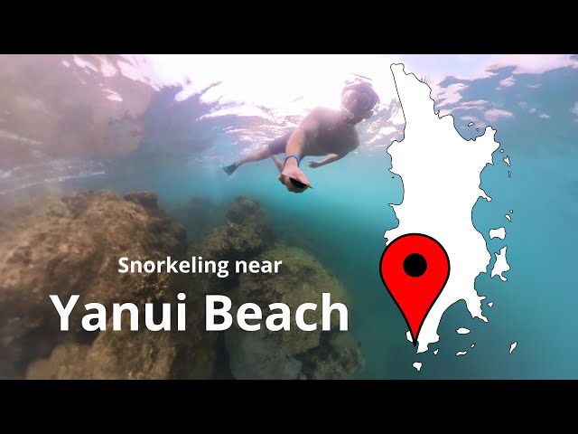 Phuket Snorkeling. Yanui beach. VR 360. 4K Video. Sea Adventure. Thailand 2025.