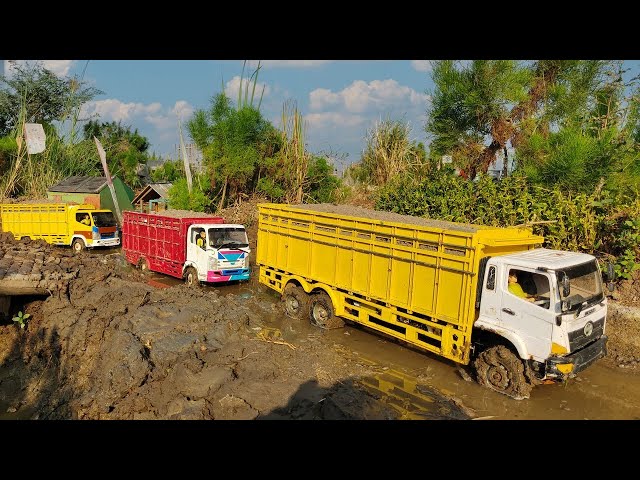 Full Oleng Mobil Truk Tronton Hino 500 Oleng Fuso 220ps Isuzu Giga Dump Truck Terguling di Jembatan