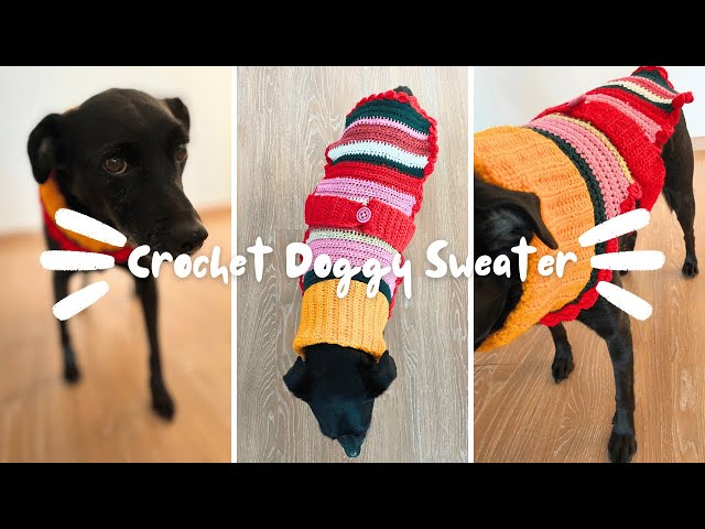 How I Crochet Sweaters For My Dog!