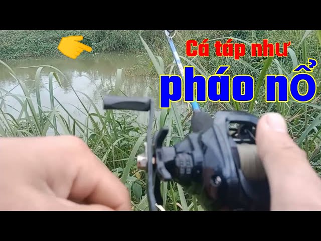 Hành Trình Đi Săn Cá Lóc (Tập 3) |The journey to hunt snakehead fish (episode 3) #fishing #caulure