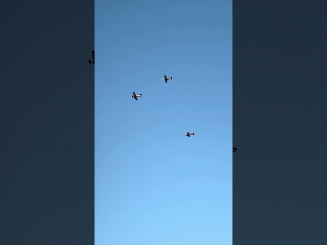 WW2 PLANES FLY BY #planespotting #planespotting #ww2 #ww2planes