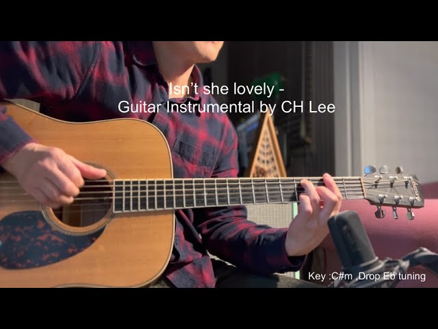 ISN'T SHE LOVELY (Stevie Wonder) ,Guitar Instrumental