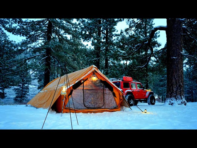 Peacefull Solo Camping in Snow in California forest /Silent Camping ASMR