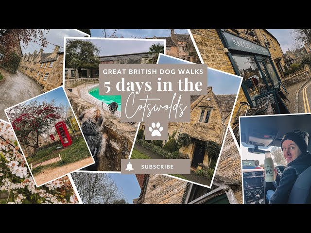 Five dog friendly days in the Cotswolds